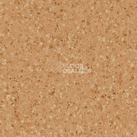 Линолеум Forbo Sphera Essence 50517 cotta фото 1 | FLOORDEALER